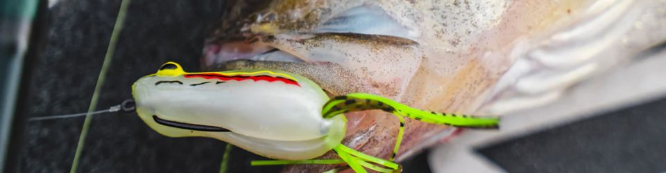 fishing-reels_spinning-reels