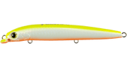 MARIA CHOVY SF125 COLOUR 025 CHARTREUSE ORANGE BELLY
