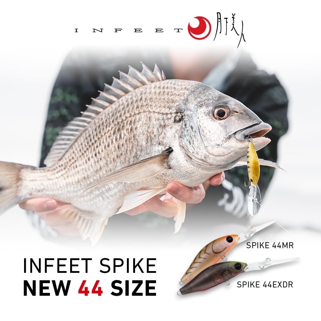 Daiwa Infeet Spike 44 MR & EXDR - Compleat Angler Ringwood