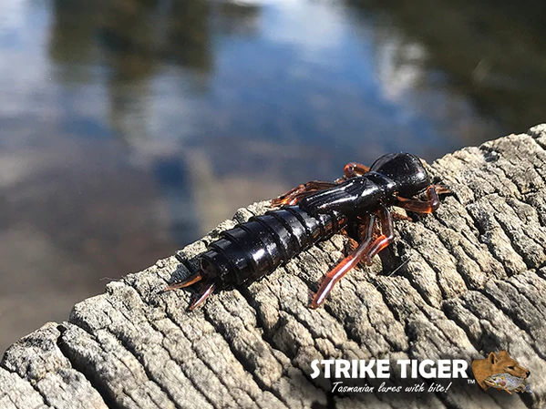 Strike Tiger 1.8 Mudeye - Soft Plastics Lure - Compleat Angler Ringwood