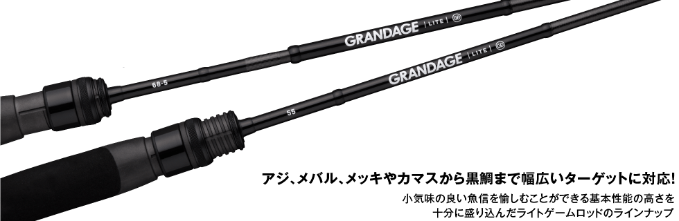 APIA Grandage Megasoul C62HH+ (Baitcaster Rod) - Compleat Angler Ringwood